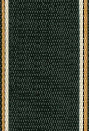 Charleston Green Lawn / Beach Chair Webbing / Strapping