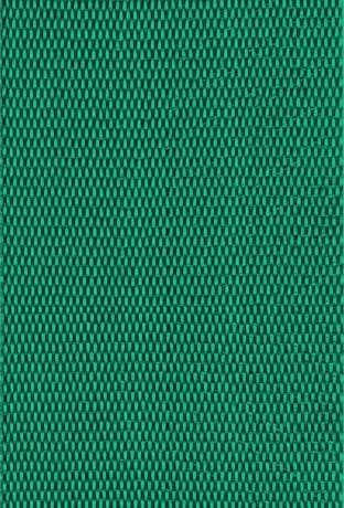 Solid Green Lawn / Beach Chair Webbing / Strapping